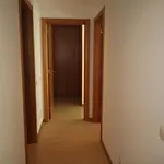 Rocha Prime C Portimão